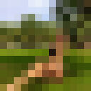  Acala del Rio,   , 23 ,   ,   