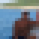 ���������� �����, ���� ������� �����, 41 ���, ������������ ��� ������, ����� � ���������, c�������� ���������, ���������