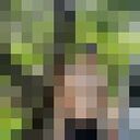  ,   , 26 ,     , c , 