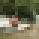  ,   Proxor, 50 ,   ,   , c 
