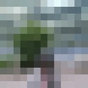 ���������� �����-���������, ���� ������� ����, 37 ���, ������������ ��� ������, ����� � ���������, c�������� ���������, ���������