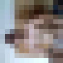  ,   Dob182, 43 ,   ,   , c 