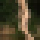  ,   , 37 ,     , c 