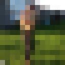 ���������� ����, ���� ������� ���������, 26 ���, ������������ ��� ������, ����� � ���������