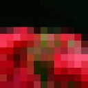  ,   Yumusk, 55 ,   ,   , c 