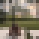 ���������� Ban Phattha Ya, ���� ������� ������, 31 ���, ������������ ��� ������, ����� � ���������