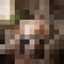 ���������� �����, ���� ������� �������, 42 ����, ������������ ��� ������, c�������� ���������, ���������