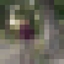 ���������� ��������, ���� ������� �����, 38 ���, ������������ ��� ������, ����� � ���������, c�������� ���������