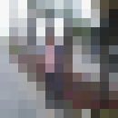  ,   Royal, 33 ,   