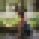 �� ������ ������������� � �������� ��������