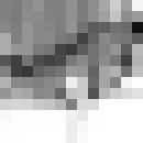 ,   ORXAN, 39 ,     , c 