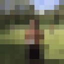 ���������� ������������, ���� ������� ����, 30 ���, ������������ ��� ������, ����� � ���������