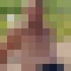  ,   Dimon, 45 ,   
