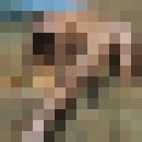  ,   , 42 ,   