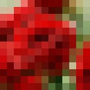  -,   , 38 ,     , c 