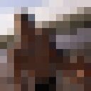 ���������� ������, ���� ����� �����, 25 ���, ������������ ��� ������, ����� � ���������