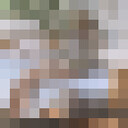  --,   , 52 ,   ,   , c , 