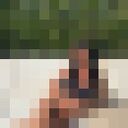 ���������� ������, ���� ������� ����, 27 ���, ������������ ��� ������, ����� � ���������