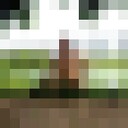 ���������� ������, ���� ������� ��, 52 ����, ������������ ��� ������, ���������