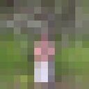 ���������� ��������, ���� ������� ���������, 35 ���, ������������ ��� ������, ����� � ���������