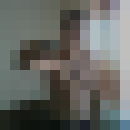 ���������� ������, ���� ������� ZAMIR, 37 ���, ������������ ��� ����� � ���������, c�������� ���������, ���������