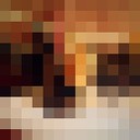 ���������� ����, ���� ������� �����, 29 ���, ������������ ��� ������, ����� � ���������, c�������� ���������