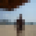  ,   , 65 ,   
