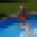  ,   , 55 ,   ,   , c 