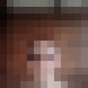 ���������� �������, ���� ������� �����, 44 ����, ������������ 