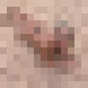 ���������� ���������, ���� ������� ����, 28 ���, ������������ ��� ������, ����� � ���������