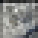 ���������� ���������, ���� ������� �������, 41 ���, ������������ ��� ������, ����� � ���������