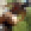  ,   , 41 ,   ,   , c 