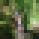 ���������� ������, ���� ������� �������, 38 ���, ������������ ��� ������, ����� � ���������, c�������� ���������