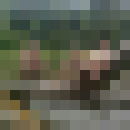  ,   Kamil, 38 ,   