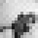  ,   , 23 ,   