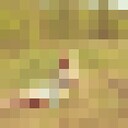  -,   , 40 ,   ,   , c 