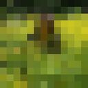  ,   , 59 ,   c 