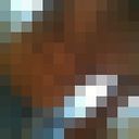 ���������� ������, ���� ������� ����, 29 ���, ������������ ��� ������