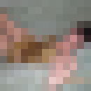   ,   , 40 ,     , c 