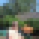 ���������� ������ ���, ���� ������� ����, 38 ���, ������������ ��� ������, ����� � ���������, c�������� ���������