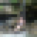  --,   Rime, 48 ,   ,   , c 