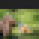 ���������� ���������, ���� ������� ������, 44 ����, ������������ ��� ����� � ���������, c�������� ���������