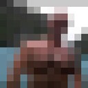  ,   , 48 ,   ,   