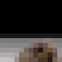 ���������� �����-���������, ���� ������� ���������, 43 ����, ������������ ��� ������, ����� � ���������