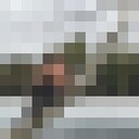  ,   Art, 30 ,   