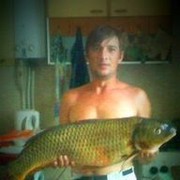 ���������� ��������������, ���� ������� Nikola, 46 ���, ������������ ��� ������