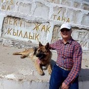  ,  , 56