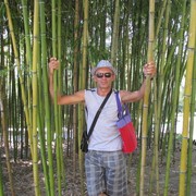  ,   , 54 ,   ,   , c 