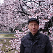  ,   , 54 ,   