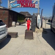 ���������� ���������, ���� ������� �����, 53 ����, ������������ ��� ������, ����� � ���������, ���������